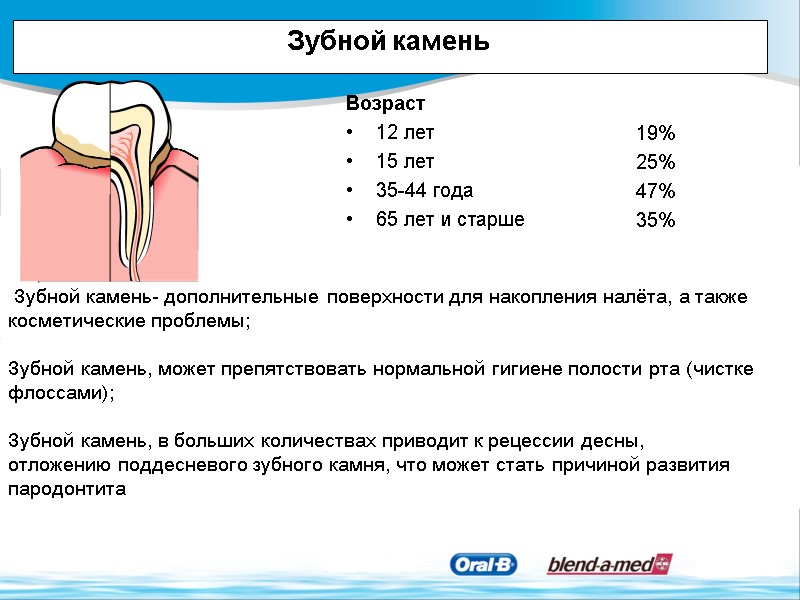 Возраст 12 лет 15 лет 35-44 года 65 лет и старше   